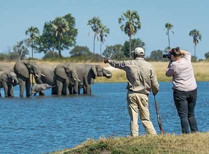 Zimbabwe - Walking Safari